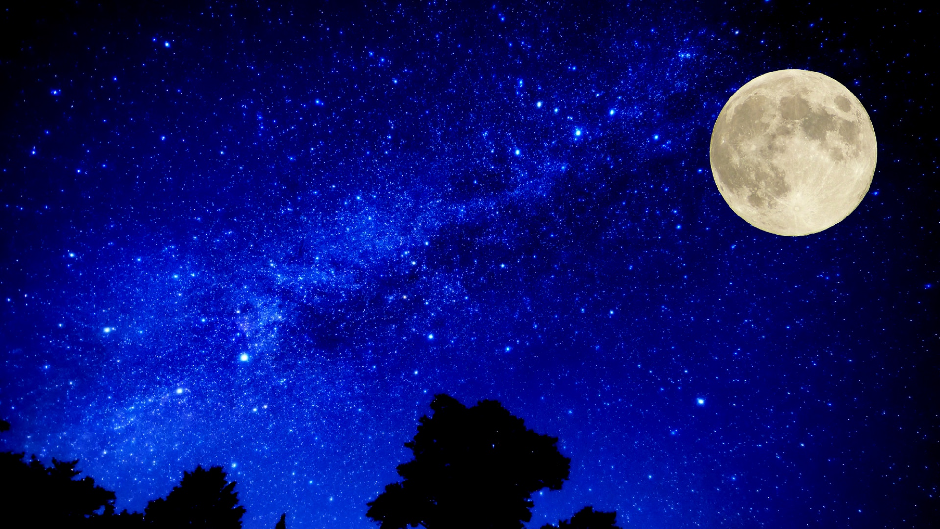 You are the part of this planet You are the part of this planet